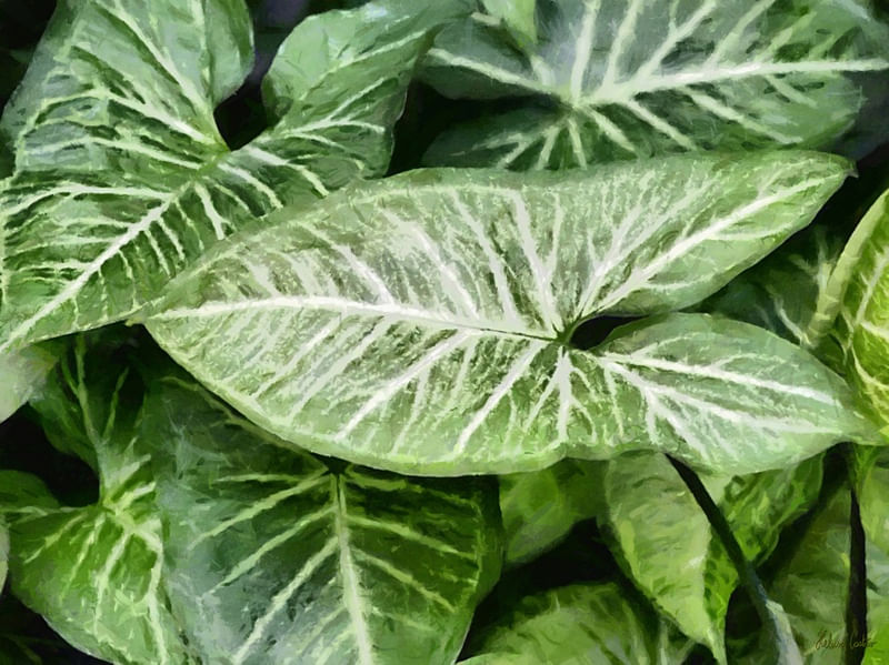 HC0408