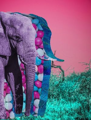 ELEFANTE COR-DE-ROSA