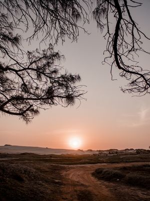 SABIAGUABA PÔR DO SOL