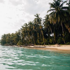 ARQUIPÉLAGO DE BOCAS DEL TORO
