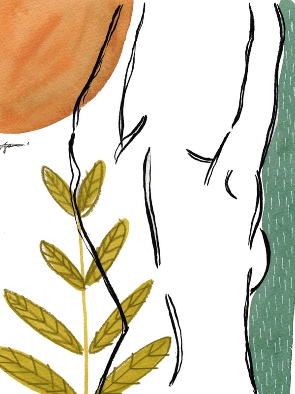 WOMAN'S LEAVES