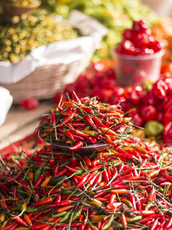 PIMENTA MALAGUETA - FEIRA LIVRE