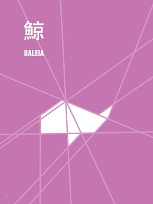 BALEIA - SÉRIE ORIGAMI