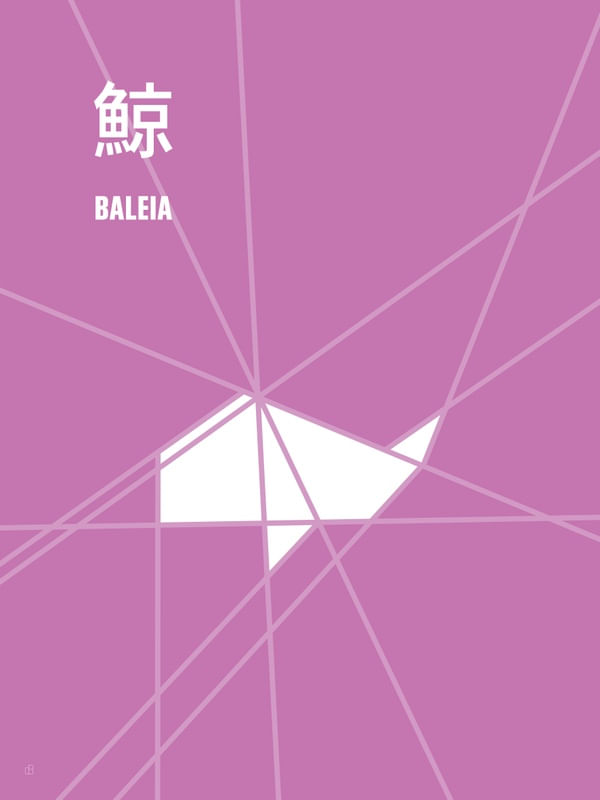 BALEIA - SÉRIE ORIGAMI