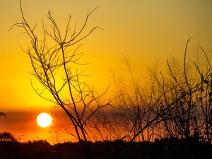 POR DO SOL LARANJA TOP