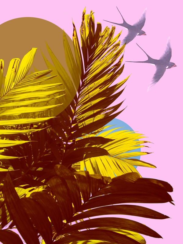 PINK PARADISE