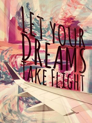 LET YOUR DREAMS TAKE FLIGHT 3
