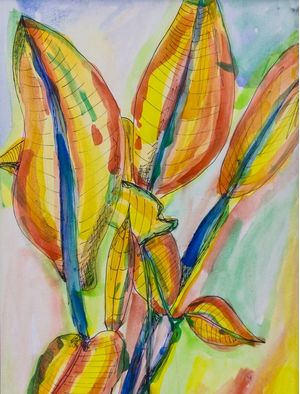 CORES NATIVAS 1