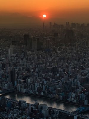 TOKYO SUNSET