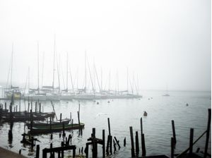 -FOG-