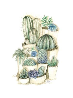 CACTOS EM AQUARELA