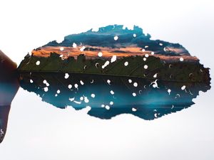 DUPLA EXPOSIÇÃO - FOLHA E CIDADE