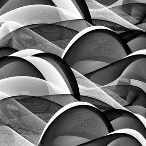 TROPICAL BW