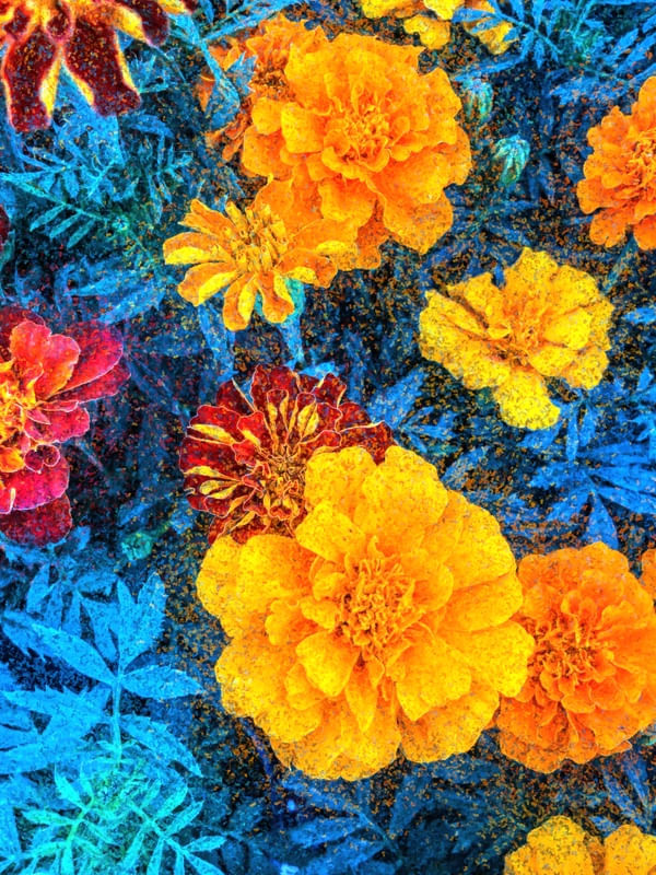 FLORAL AZUL PROFUNDO AMARELO INTENSO