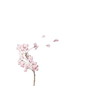 AQUARELA FLOR
