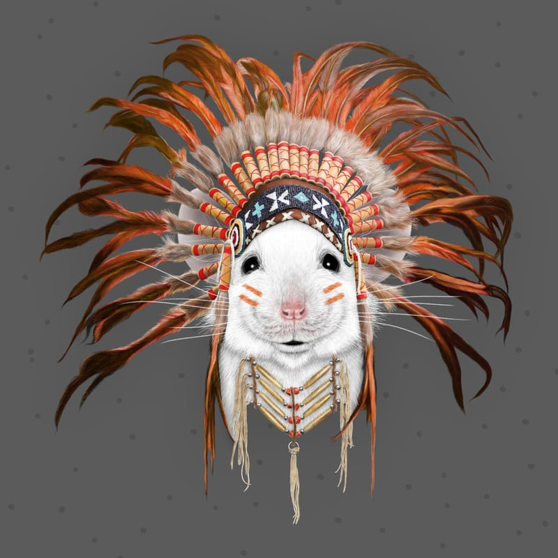 ORANGE FEATHER MOUSE