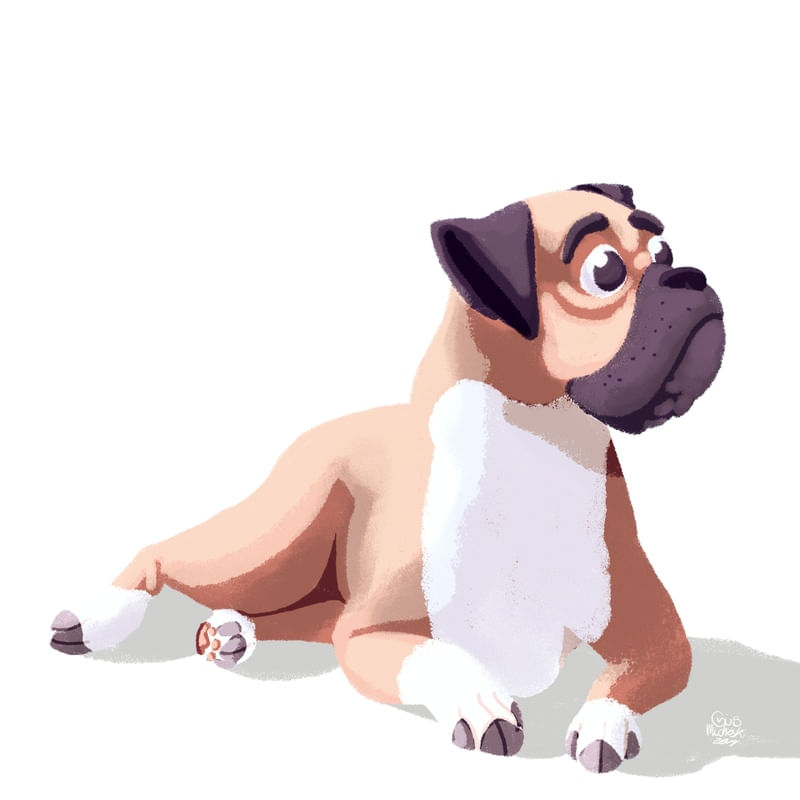 BOXER 1