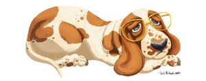 BASSET HOUND 1