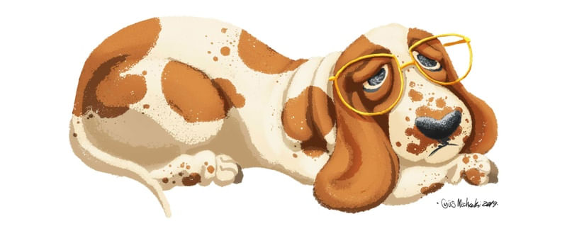 BASSET HOUND 1
