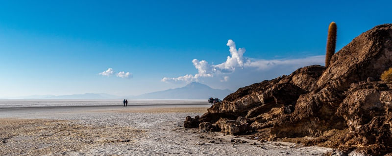 ISLA INCAHUASI, UYUNI