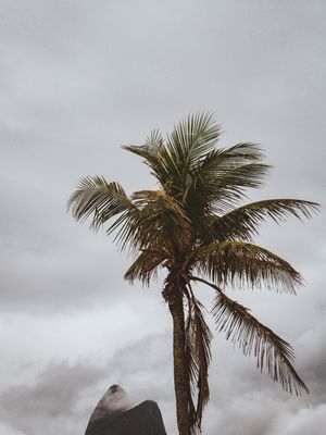 TOPO DOS IRMAOS
