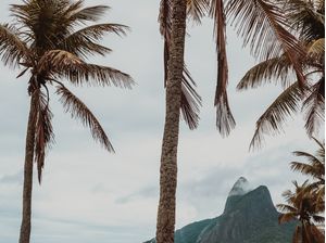 ENQUADRAMENTO DOS IRMÃOS