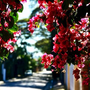 PRIMAVERA OUTONO SQUARE