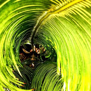 VERDE ESPIRAL SQUARE