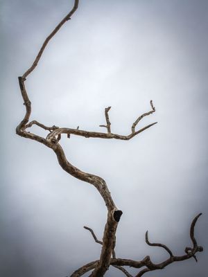 AOS CÉUS