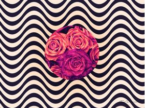 FLORES AO VENTO