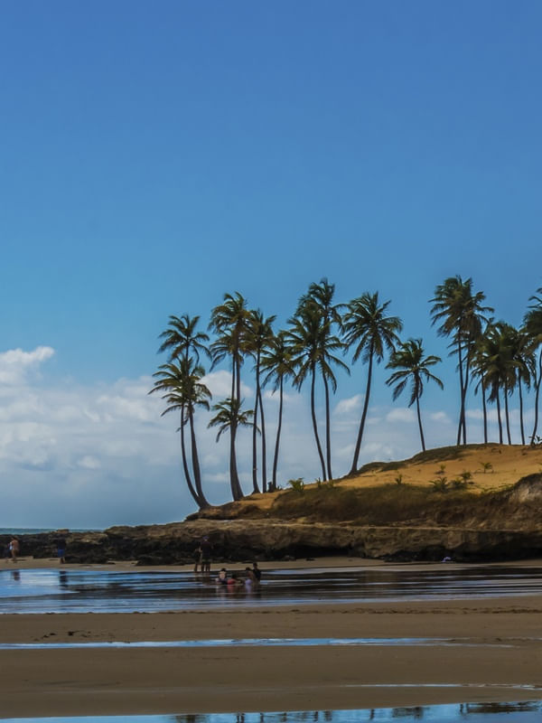 PRAIA DE LAGOINHA CEARÁ_TRÍPTICO 1 DE 3
