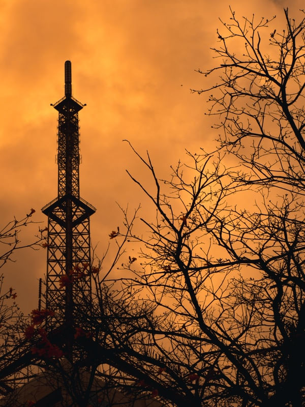 TORRE LARANJA DE OUTONO