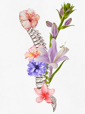 ESPINHA FLORAL