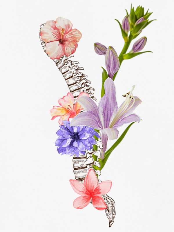 ESPINHA FLORAL