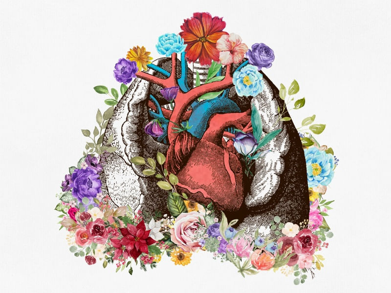 HEART ANATOMY FLORWER 3