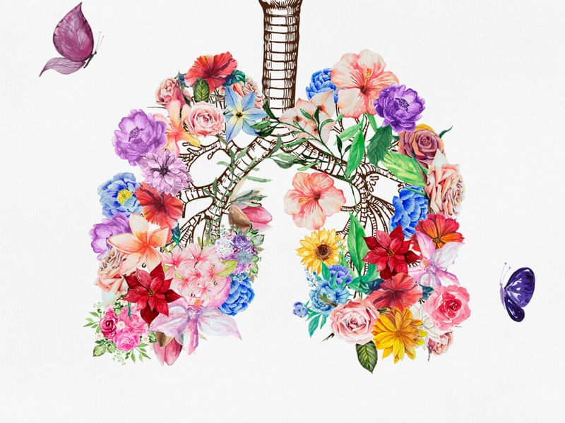 LUNGS ANATOMY FLOWER