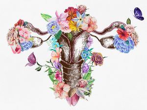 UTERUS ANATOMY FLOWER