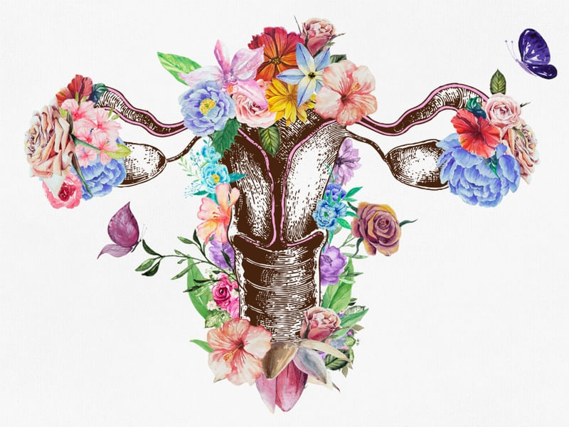 UTERUS ANATOMY FLOWER
