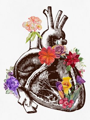 HEAR ANATOMY FLOWER 1