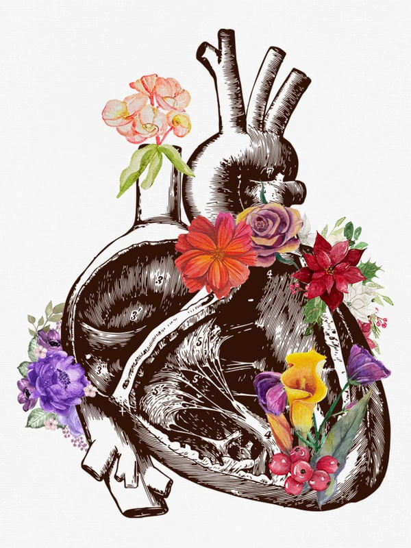 HEAR ANATOMY FLOWER 1
