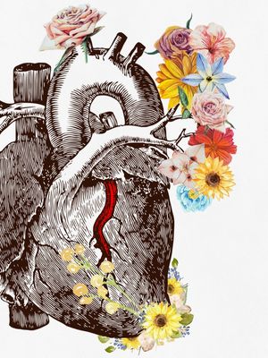 HEART ANATOMY FLOWER 2