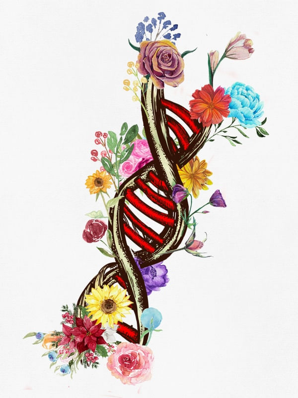 DNA FLORAL