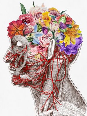 HEAD ANATOMY FLOWERS 1