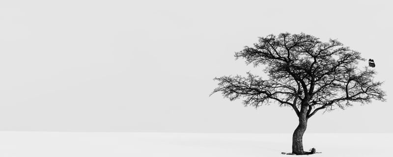 ARVORE MINIMALISTA
