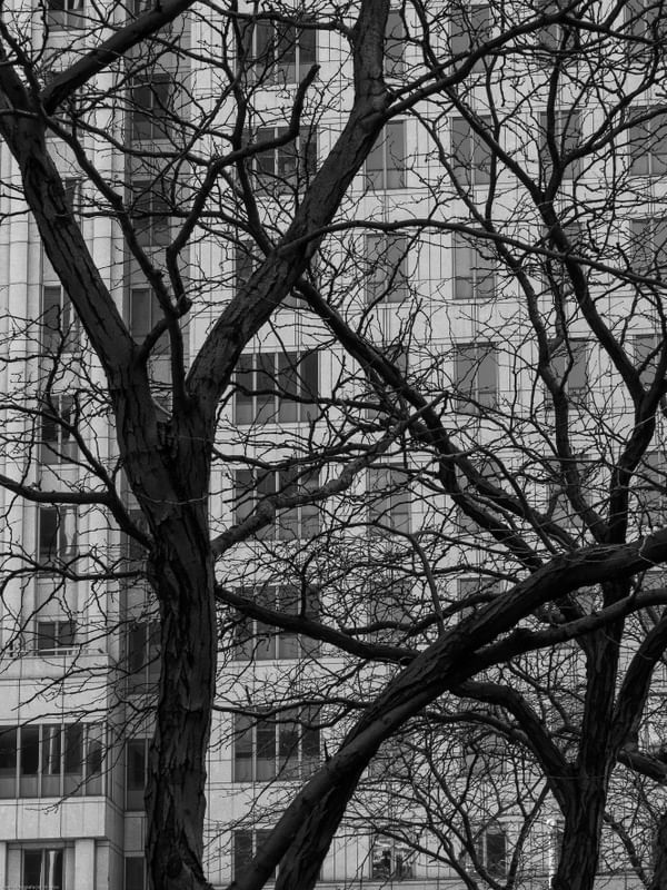 PRÉDIOS NY URBANOS PB XII