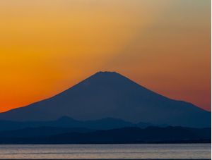 MONTE FUJI