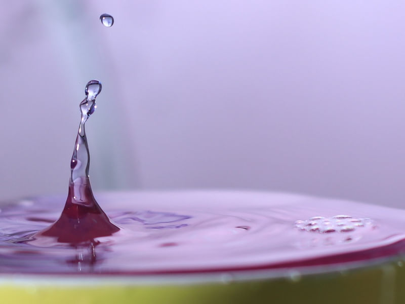 SPLASH - GOTA VESTIDO DA NOIVA