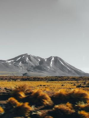 VULCÃO CHILENO