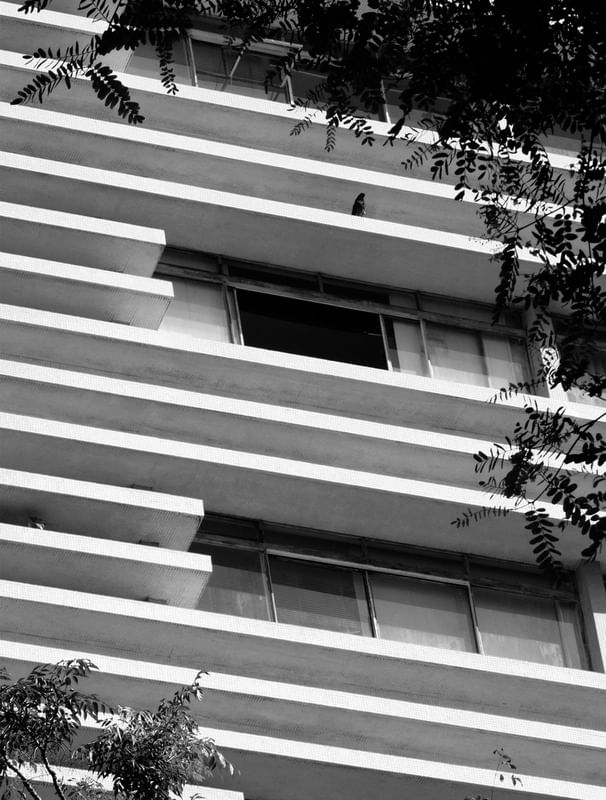 LINHAS PARALELAS PB