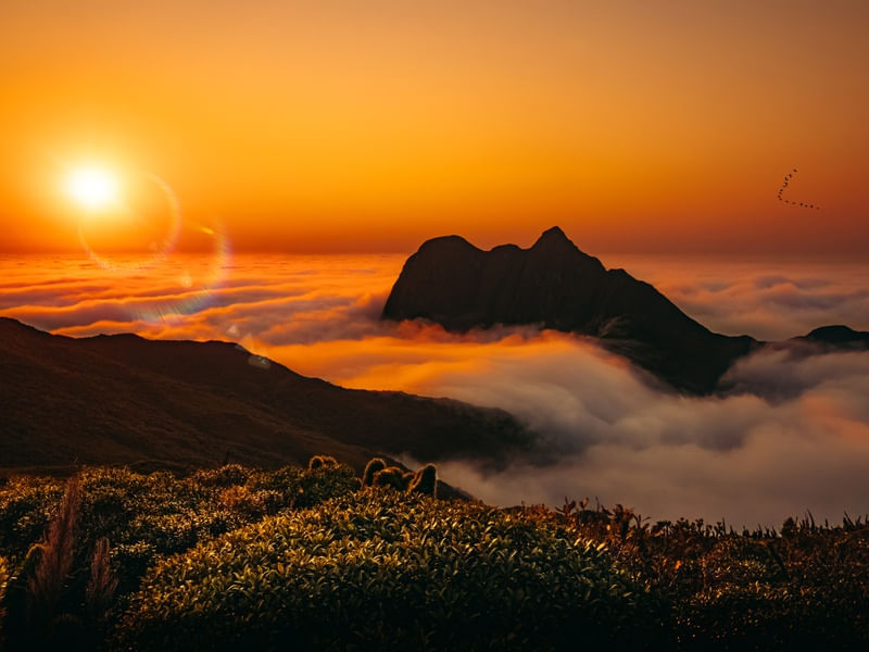 NASCER DO SOL PICO PARANÁ MAR DE NUVENS